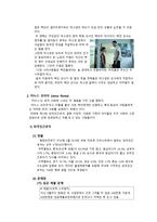 사회과학 인종과 서브컬처 에 관한 보고서-8