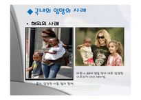 입양 가족 입양 정의 입양 유형 입양 조건 입양 절차 국내 입양 사례 국외 입양-11