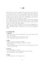 미국 주거복지정책 미국 주택 유형 미국 주택 주거기준 주거복지정책 발전 과정-2