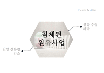 이란정치 - IRAN ECONOMY SANCTION-12