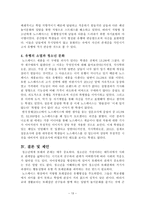 또래와 청소년 문화 - 노스페이스 현상을 중심으로-13