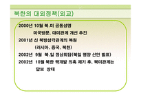 김정일 정부 레포트-11