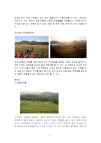 사회과학 영호남 화합을 위한 남도 테마투어-7