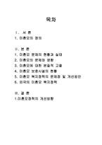 미혼모 미혼모 정의 미혼모 문제 미혼모 현황 미혼모 실태 미혼모 문제 영향-1