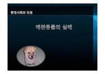 애완동물의 실태-1