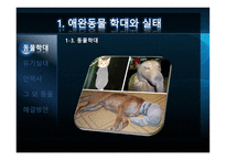 애완동물의 실태-4
