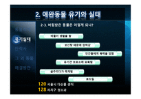 애완동물의 실태-8
