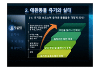 애완동물의 실태-9