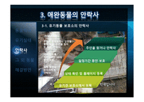 애완동물의 실태-11