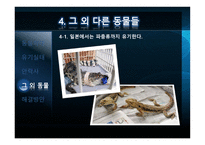 애완동물의 실태-12