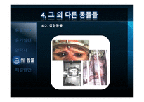 애완동물의 실태-13