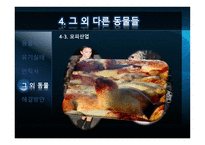 애완동물의 실태-14