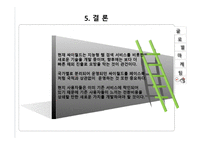 싸이월드 해외진출 성공 실패사례-18