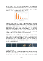 선도하는 GLOBAL BANK KB국민은행-7