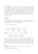 성 가치와 행동-8