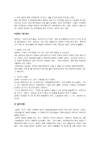 인테리어 리폼 산업 중국 내 진출 사업 계획서-10