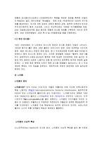 주요 이데올로기와 특징-19