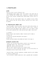 비정규직 및 여성노동의 국제인권법 적용가능성-3