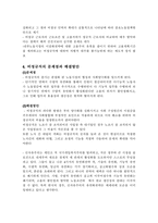 비정규직 및 여성노동의 국제인권법 적용가능성-4