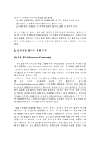 비정규직 및 여성노동의 국제인권법 적용가능성-12