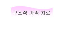 사회과학 구조적 가족 치료-1