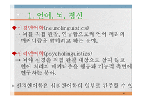 언어와 심리 신경언어학과 심리언어학-4