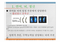 언어와 심리 신경언어학과 심리언어학-6