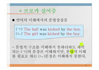 언어와 심리 신경언어학과 심리언어학-11