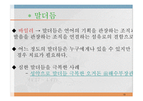 언어와 심리 신경언어학과 심리언어학-13