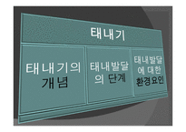 아동기 발달과 사회복지 발달-3
