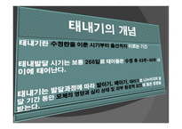 아동기 발달과 사회복지 발달-4