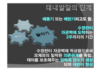 아동기 발달과 사회복지 발달-5