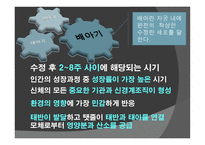 아동기 발달과 사회복지 발달-6