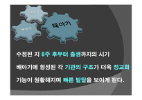아동기 발달과 사회복지 발달-7