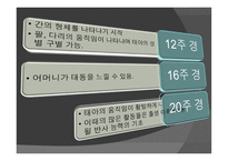 아동기 발달과 사회복지 발달-9