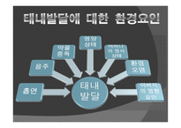 아동기 발달과 사회복지 발달-11
