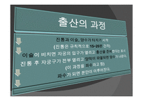 아동기 발달과 사회복지 발달-12