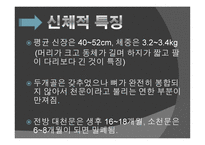아동기 발달과 사회복지 발달-15
