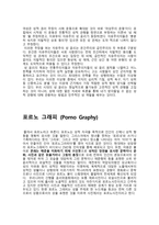 사이버 공간에서의 성 윤리 포르노그래피 섹슈얼리티 성욕 성 윤리-4