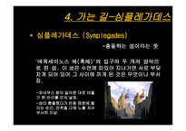 이아손과 아르고 호의 선원들-14