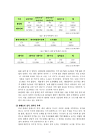 국제커뮤니케이션 관점에서 본 한류-17