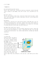 Global Marketing Out Back steak 사례-7