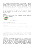Global Marketing Out Back steak 사례-12