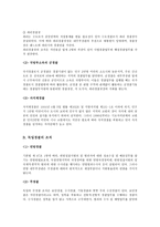 대륙법계 경찰제도와 영미법계 경찰제도의 비교고찰-2