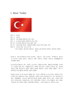 국제매너 터키 공화국-2