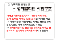사회과학 성폭력의 사례들과 발생 원인 대처 방법-7