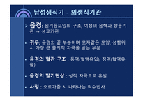 사회과학 성의 해부학-5