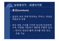 사회과학 성의 해부학-6