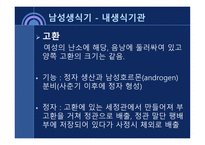 사회과학 성의 해부학-7