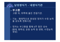 사회과학 성의 해부학-8